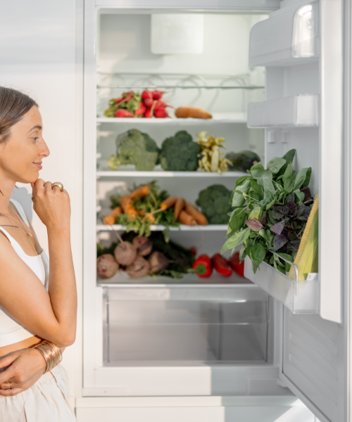 صيانة ثلاجات اندست